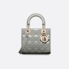 Dior Small Lady Dior Bag HandBags- patent leather Turtledove Grey