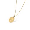 Zodiaque medal Aquarii (Aquarius)