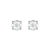 Roma Amor Earrings