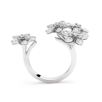 Socrate Between the Finger ring Socrate Between the Finger ring