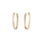 Coco Crush hoop earrings