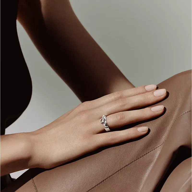 Collier de chien ring, small model