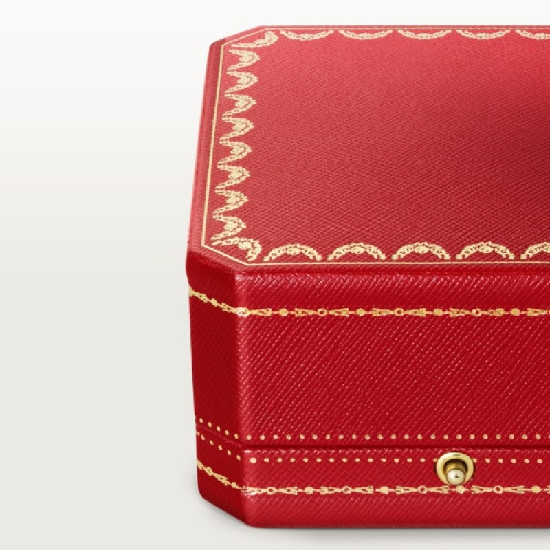 Cartier Panthère de Cartier earrings