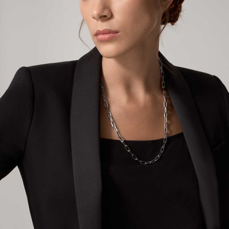 Santos de Cartier necklace, chain, medium model