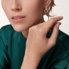 Cartier Agrafe earrings, paved