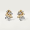 Cartier Grain de Café earrings, semi-paved