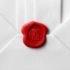 Cartier LOVE stud earrings