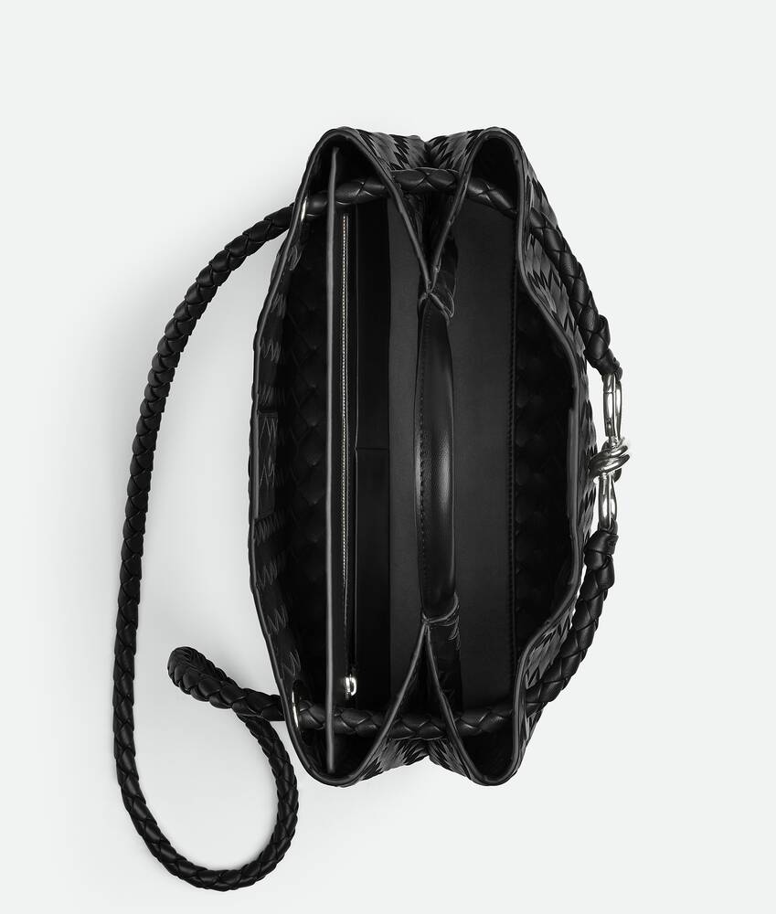 Bottega Veneta Medium Andiamo