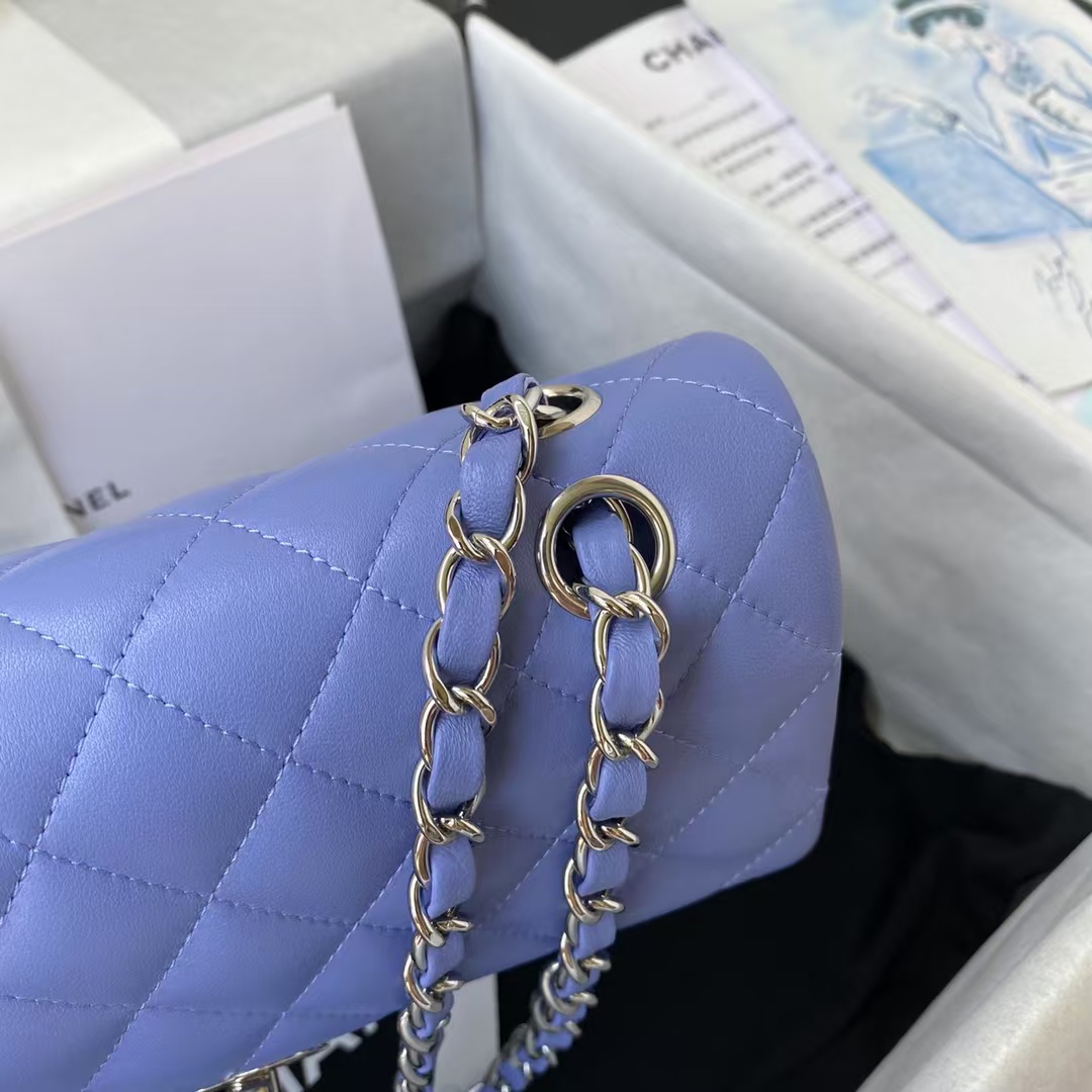 Chanel Small Classic Handbag Silver Hardware Chanel Small Classic Handbag Silver Hardware